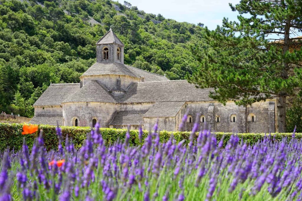 Sénanque Abbey is an excellent stop on your Luberon tour.