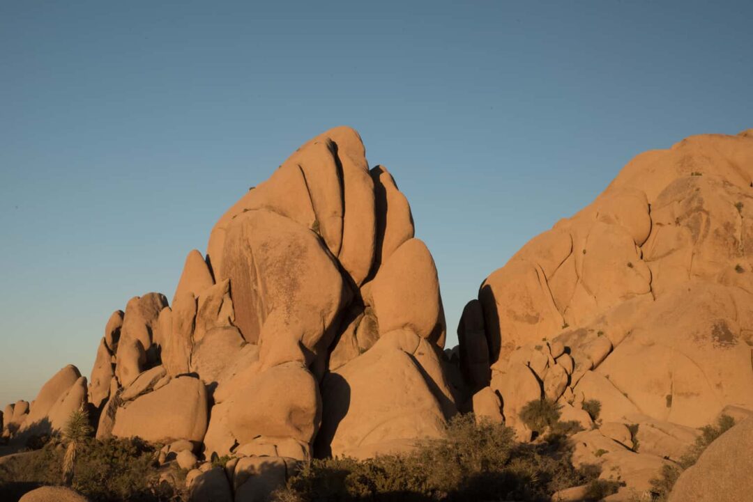 Joshua Tree With Kids - Planning Your Joshua Tree Day Trip