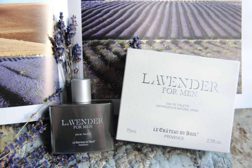 Provence Beauty Lavender Pillow Spray - World Market