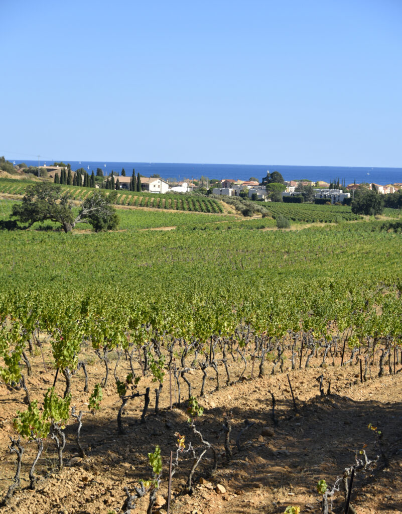 La Londe - Provence Wine Region