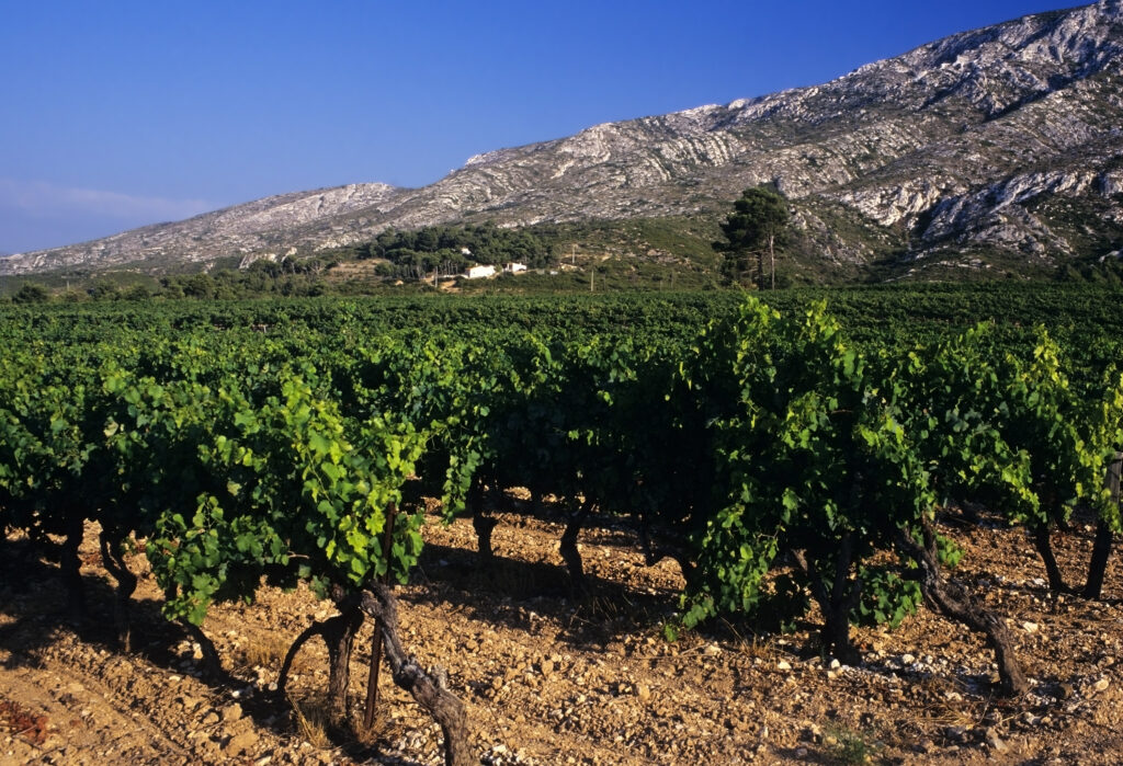 Pellet region vineyards in the South of France