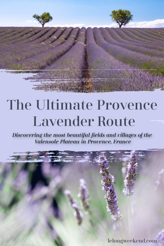 tour de lavender route