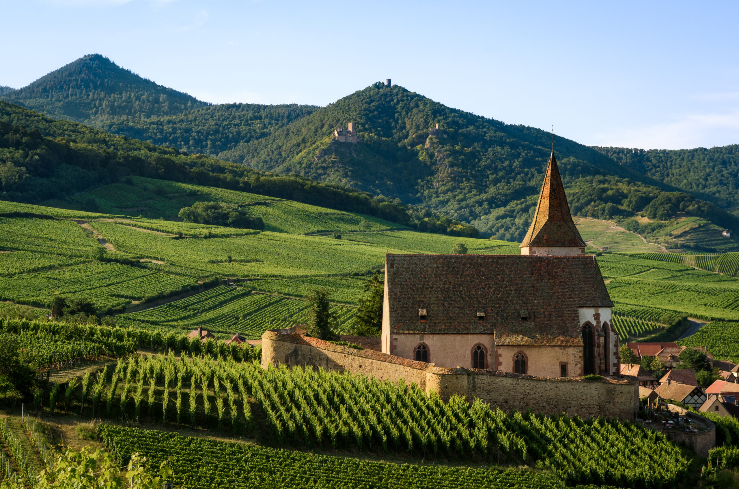 The Best Wine Regions Of France French Vineyards To Put On Your Itinerary