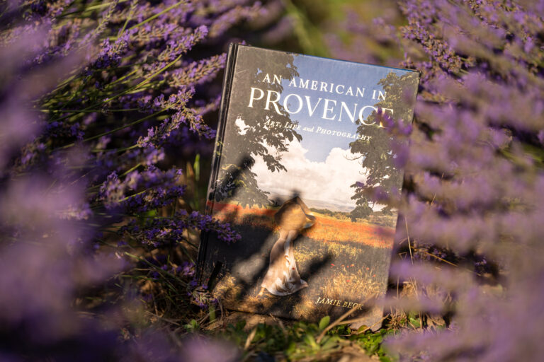 Must-Read Books About Provence (& Beautiful Provence Coffee Table Books)
